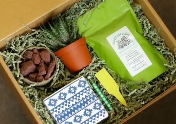 Best Gifts for Plant Lovers - NuPlantCare